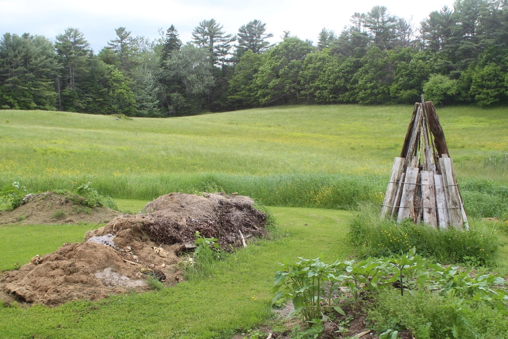 East Coast Office by Carson Douglas Landscape Architecture - Photo 4