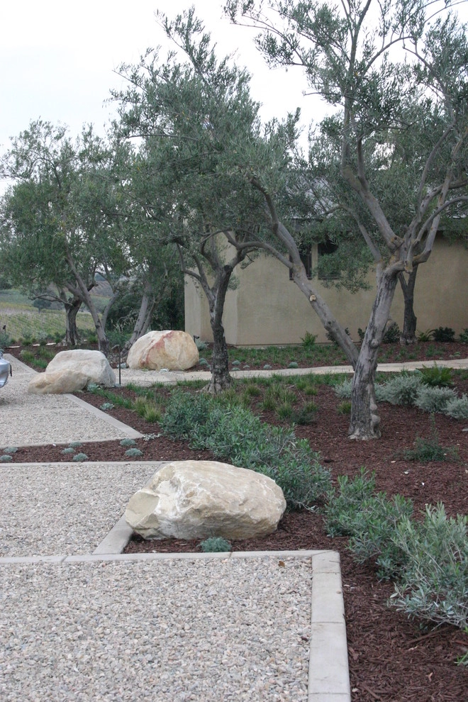 Southern California Vineyard by Carson Douglas Landscape Architecture - Photo 36