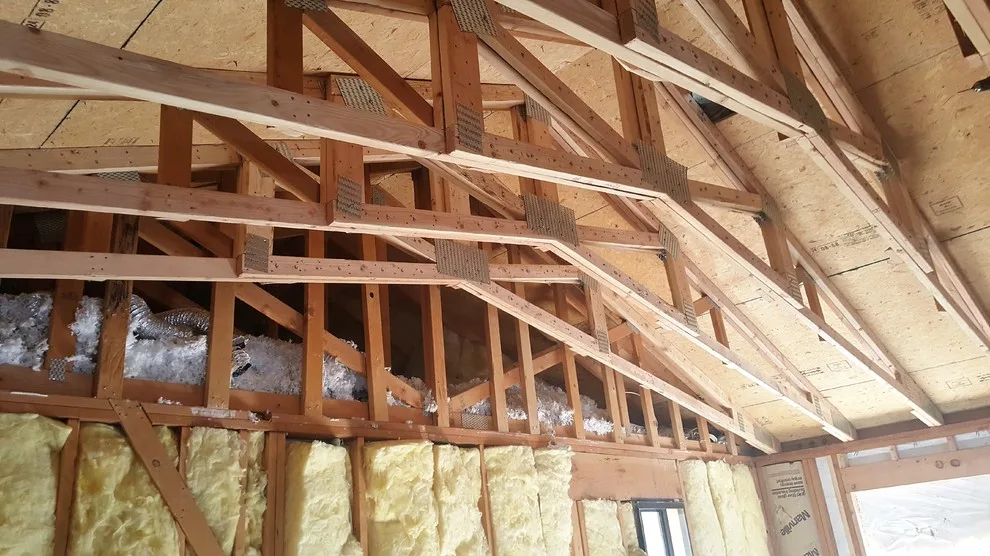 Mr. J. Rudolph garage/deck renovation by DLR Construction LLC - Photo 3