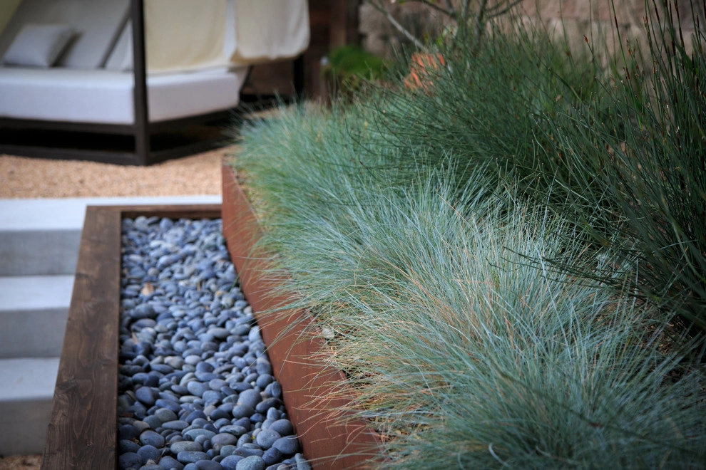 Brant San Diego by Carson Douglas Landscape Architecture - Photo 24