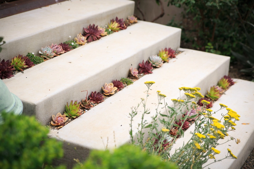 Santa Ynez Ranch by Carson Douglas Landscape Architecture - Photo 71