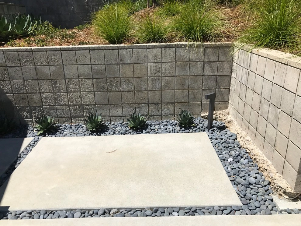 Birdrock Midcentury by Carson Douglas Landscape Architecture - Photo 4