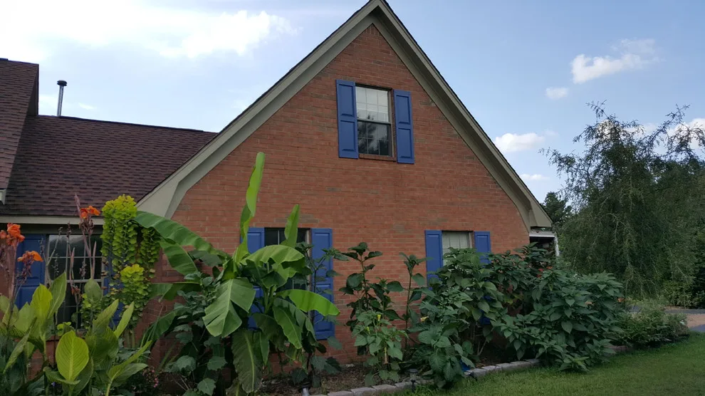 Nasal Coating by Strickland Painting And Construction - Photo 5