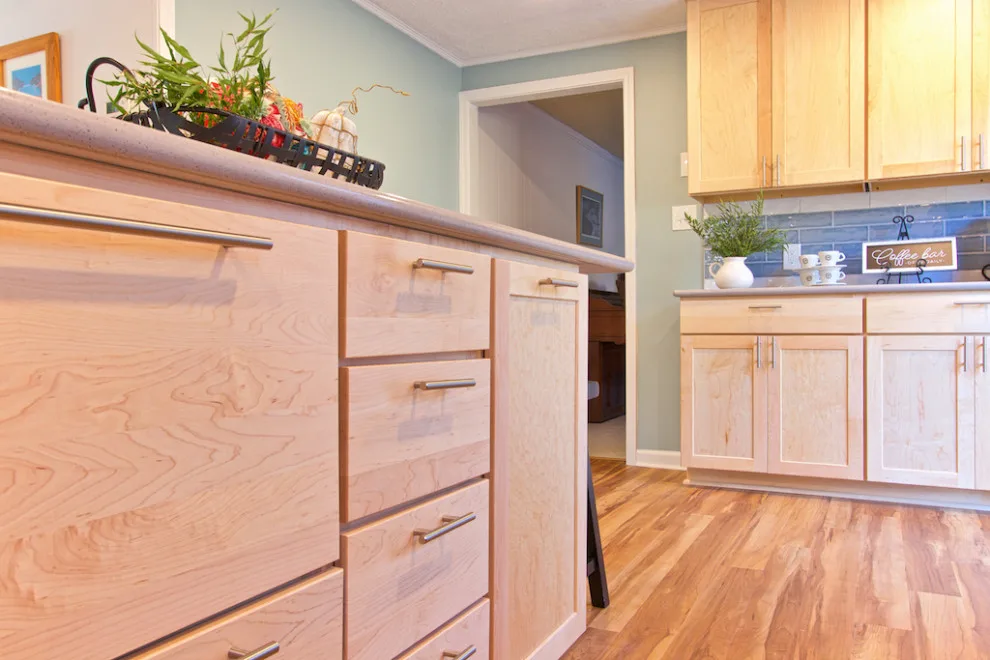 Maplewood Kitchen by Blue Ridge Design Build - Photo 22