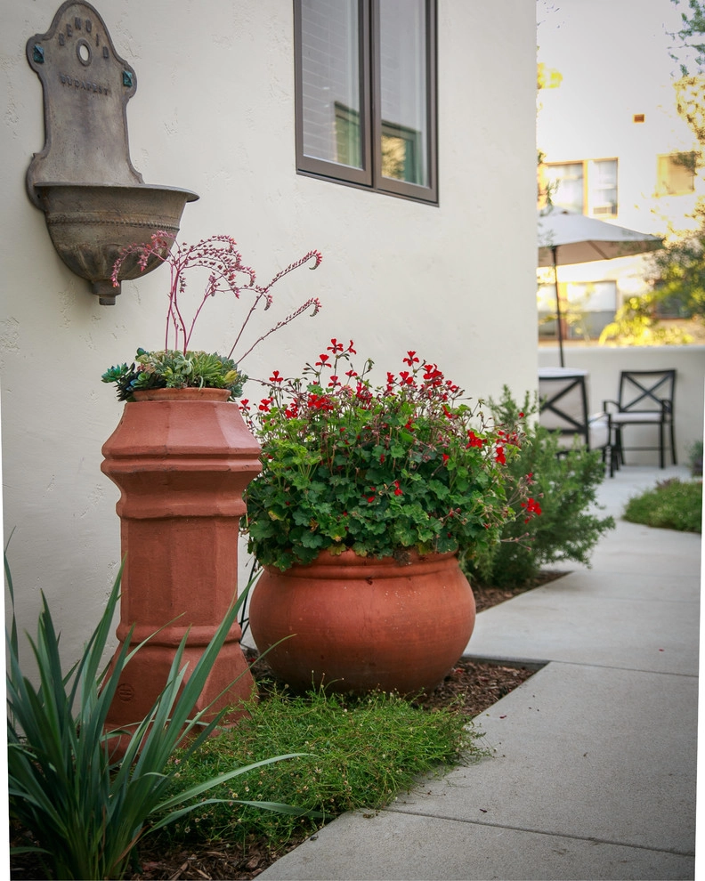 Alcazar Court by Carson Douglas Landscape Architecture - Photo 7