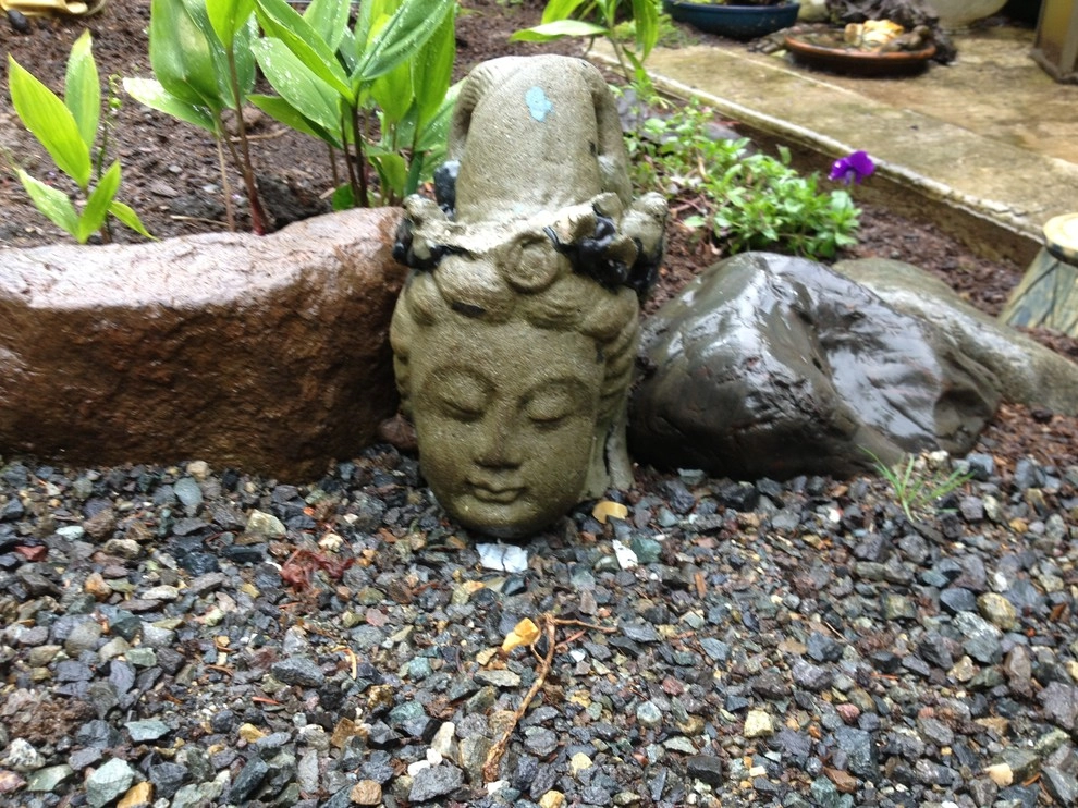 Cascadecopia, LLC - Photo 9