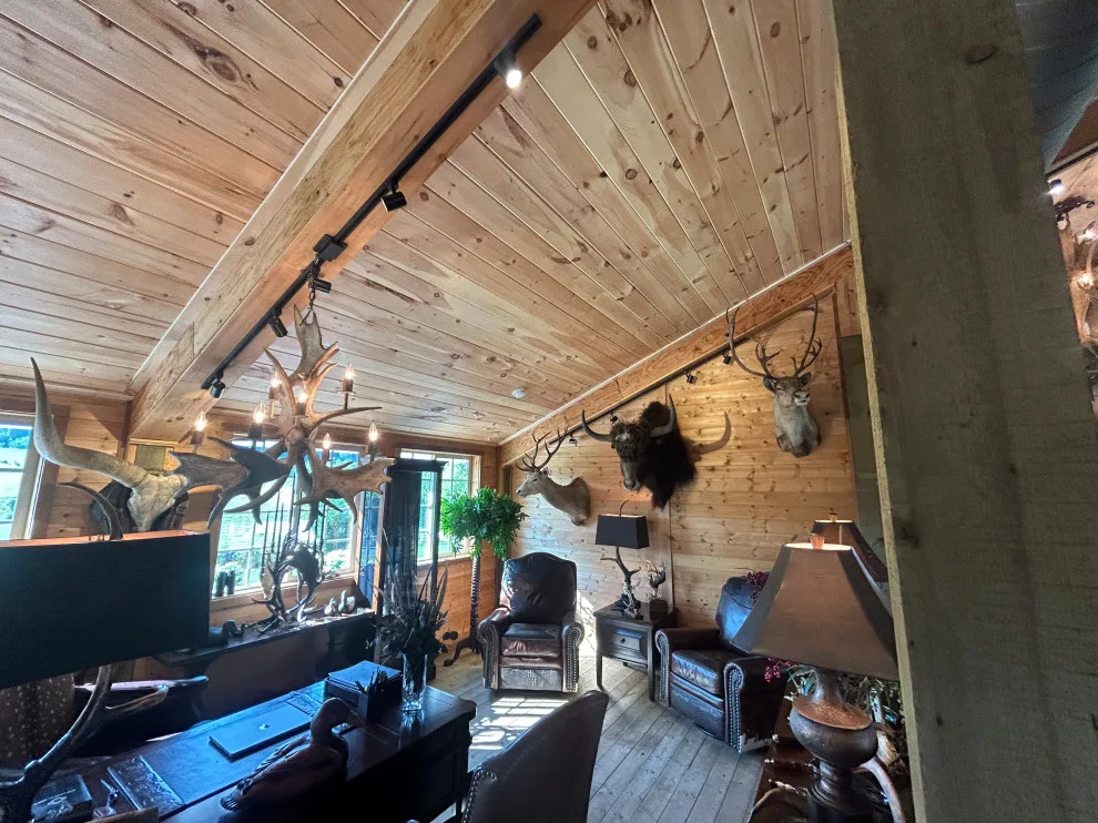 Updated Ceiling Designs by Built By Josh LLC - Photo 10