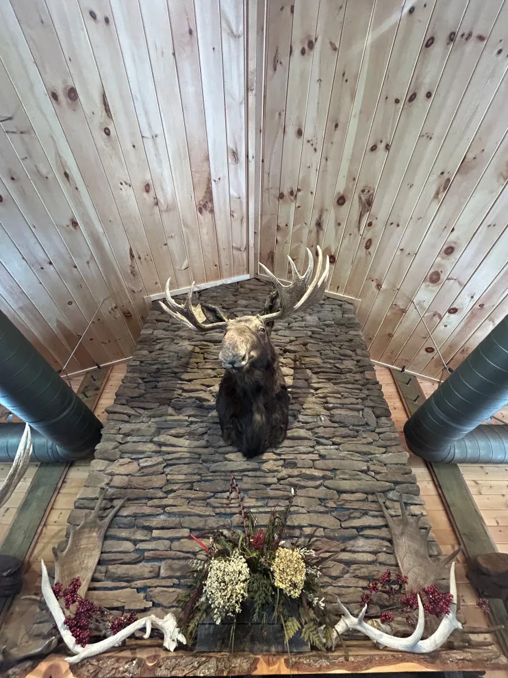 Updated Ceiling Designs by Built By Josh LLC - Photo 5