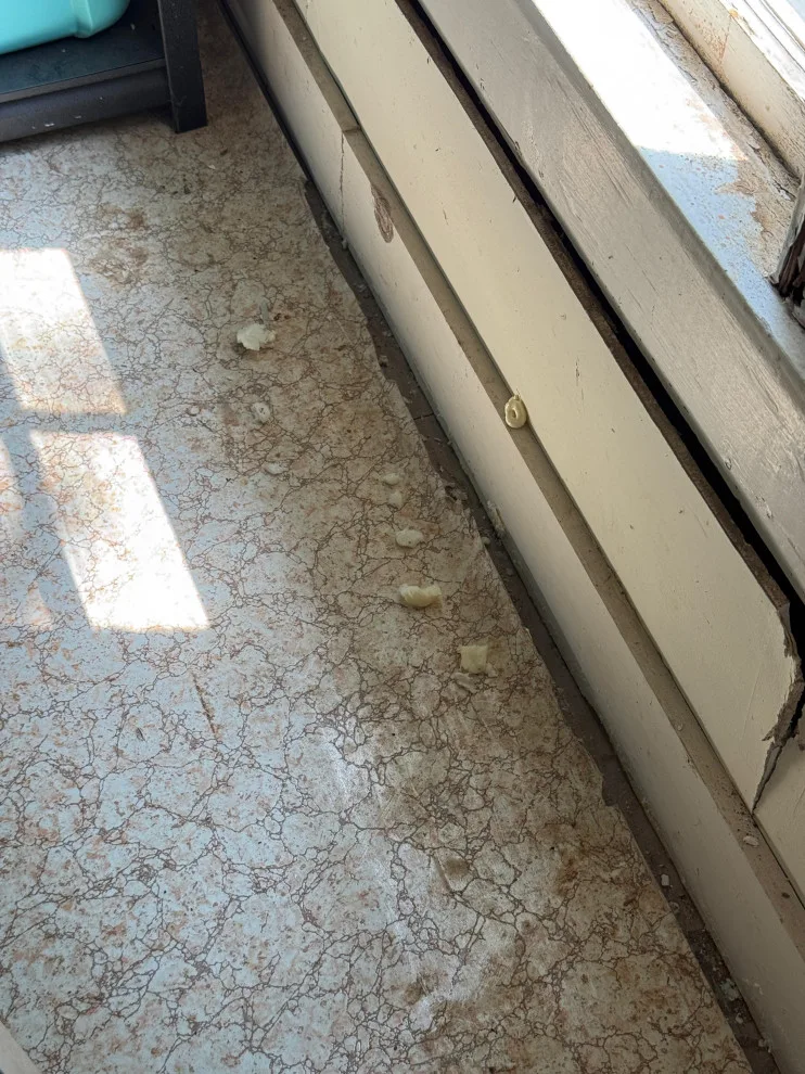 Fresh Initiative by Lone Star House Leveling & Foundation Repair - Photo 5