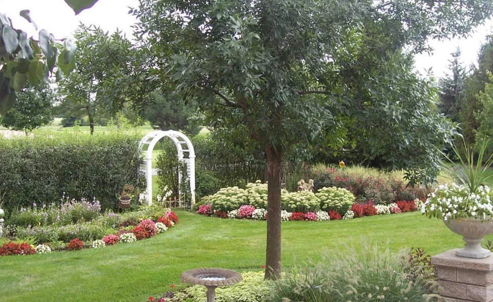 Hardscape Group Landscaping Inc - Photo 11