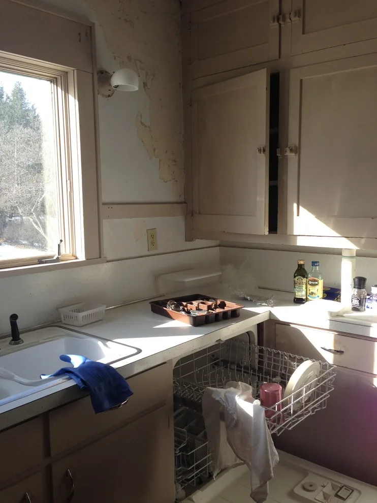 1920s Cottage Kitchen Renovation by Mark Russo Kitchen And Bath Design - Photo 8