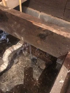 Pre and Post Bath (damaged subfloor) by Lillian_capobianco - Photo 12