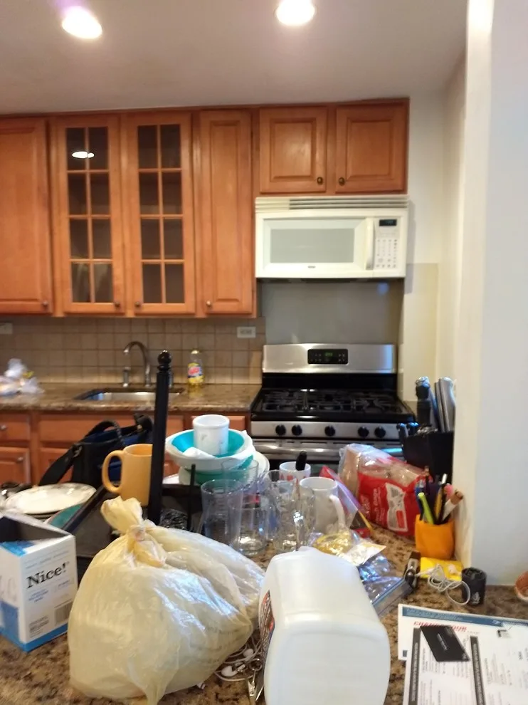 Illuminating the Kitchen by First Impression Designs - Photo 10