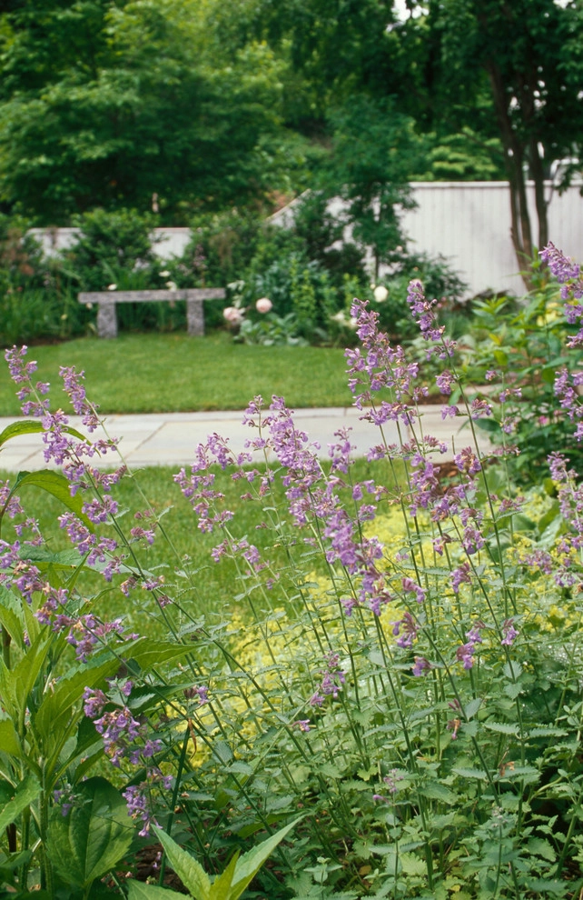 CBA Landscape Architects, LLC - Photo 10
