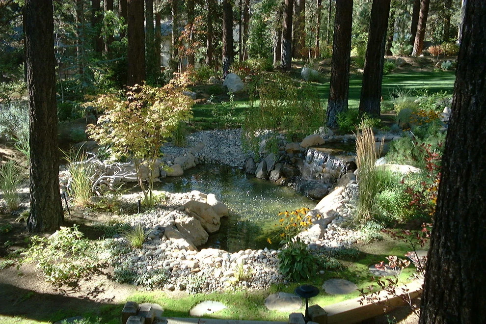 Ferris by High Sierra Gardens Inc. - Photo 6