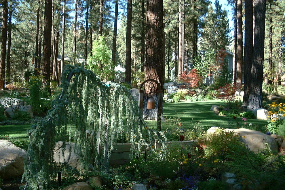 Ferris by High Sierra Gardens Inc. - Photo 8
