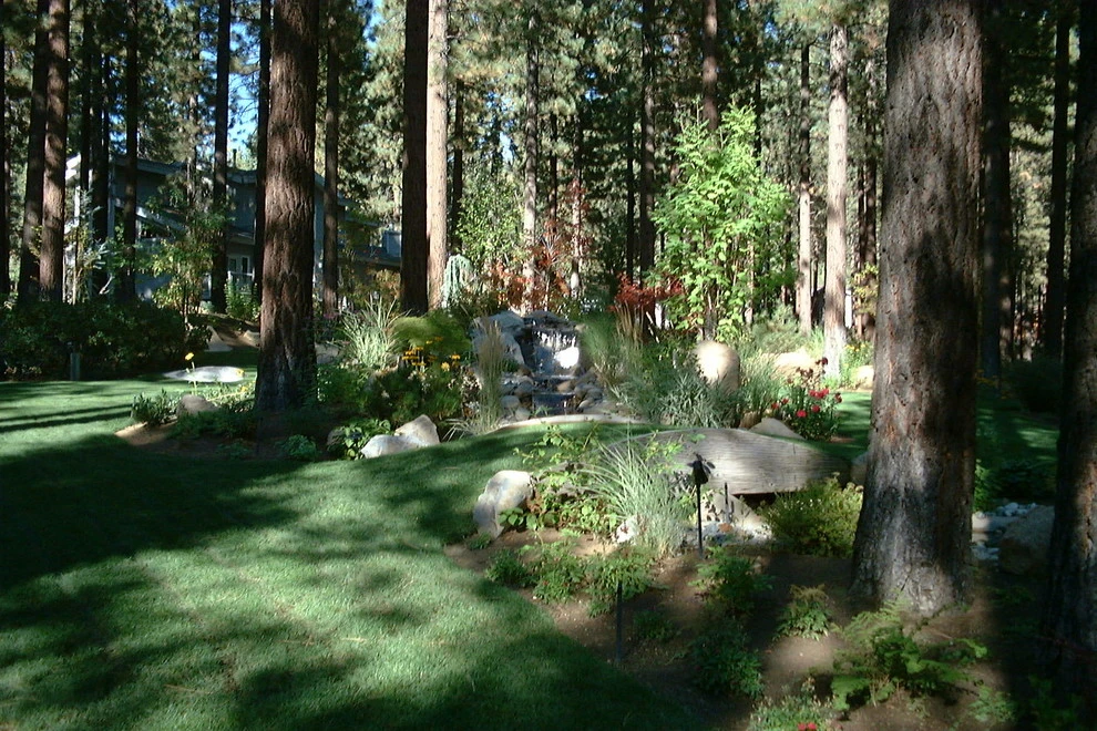 Ferris by High Sierra Gardens Inc. - Photo 7
