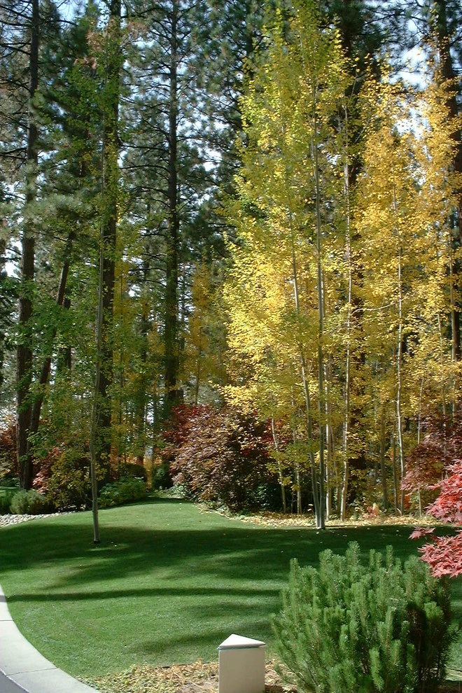 Schumacher by High Sierra Gardens Inc. - Photo 11