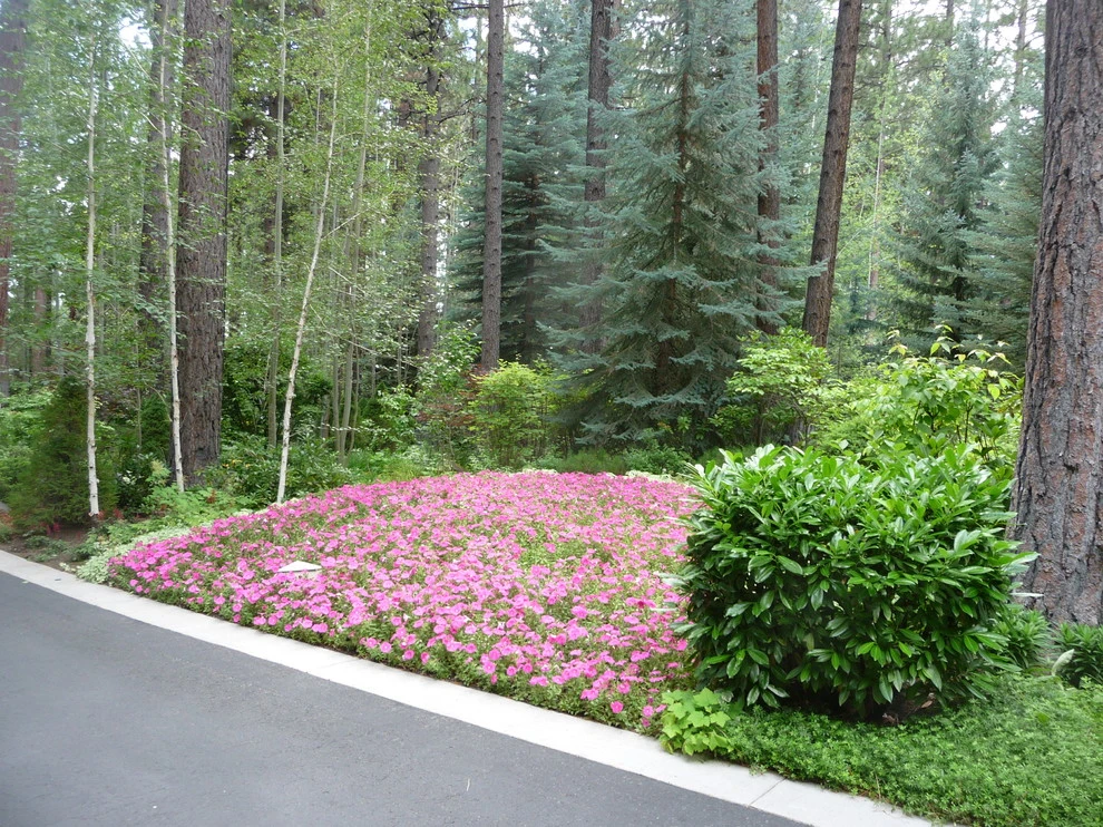 Schumacher by High Sierra Gardens Inc. - Photo 26