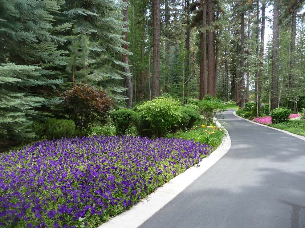 High Sierra Gardens Inc. - Photo 14