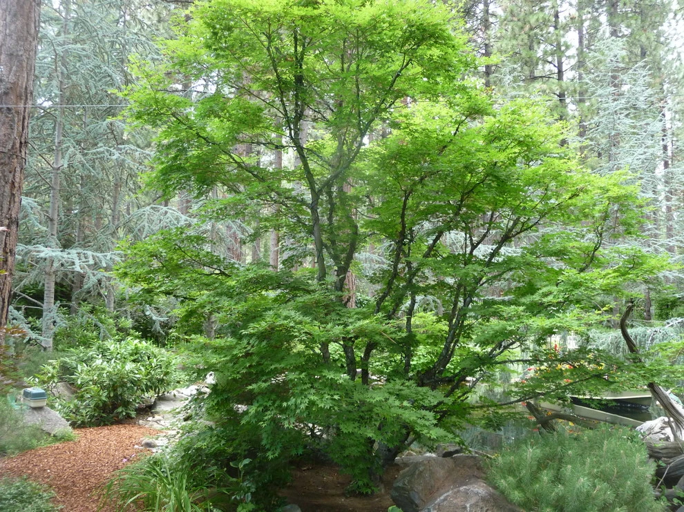 Schumacher by High Sierra Gardens Inc. - Photo 9