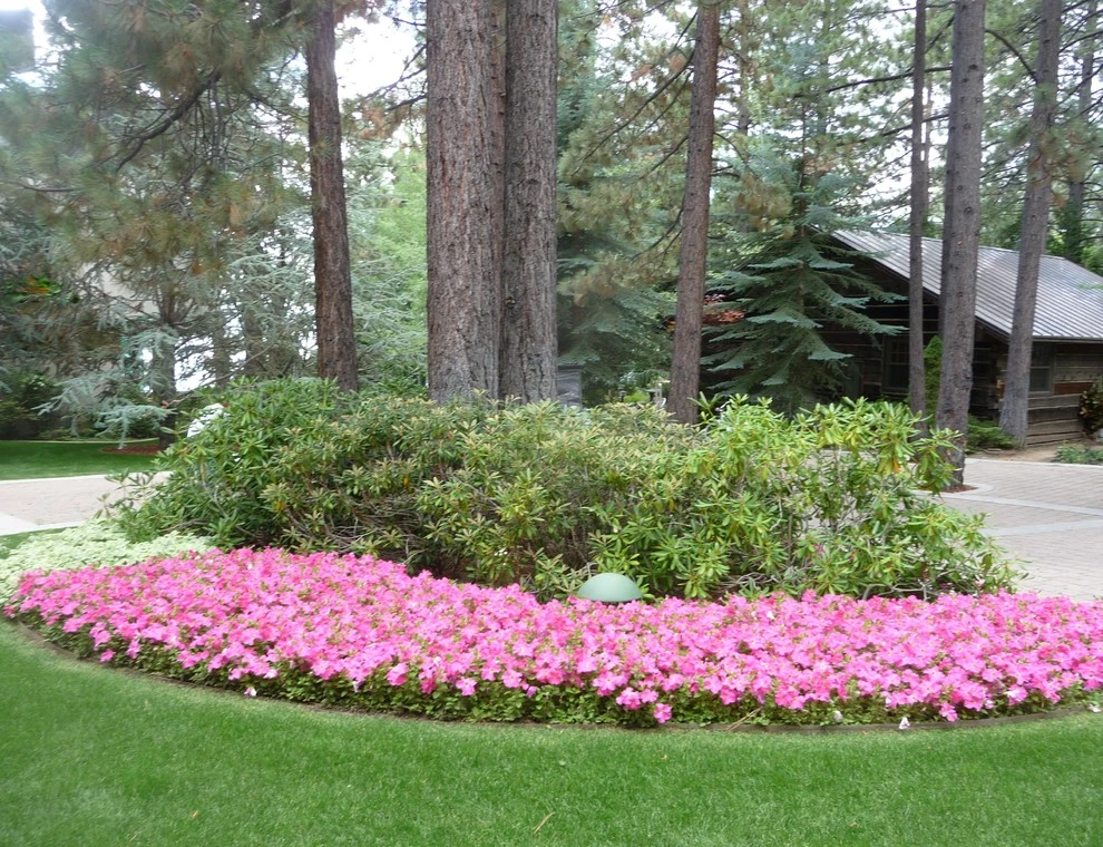 Schumacher by High Sierra Gardens Inc. - Photo 12
