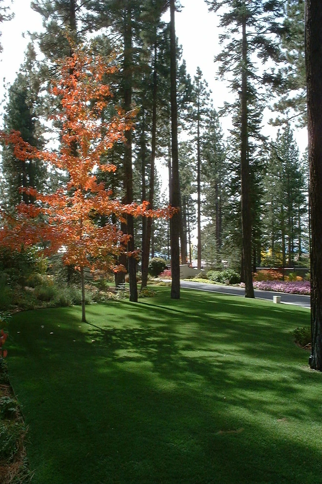 Schumacher by High Sierra Gardens Inc. - Photo 4