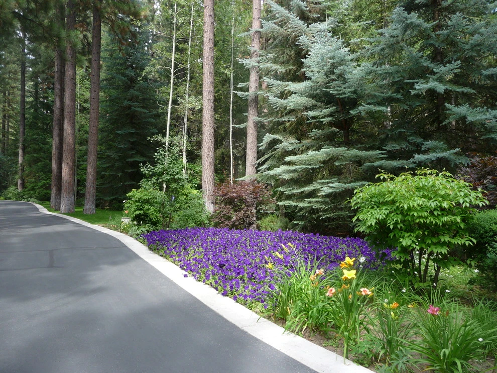 Schumacher by High Sierra Gardens Inc. - Photo 8