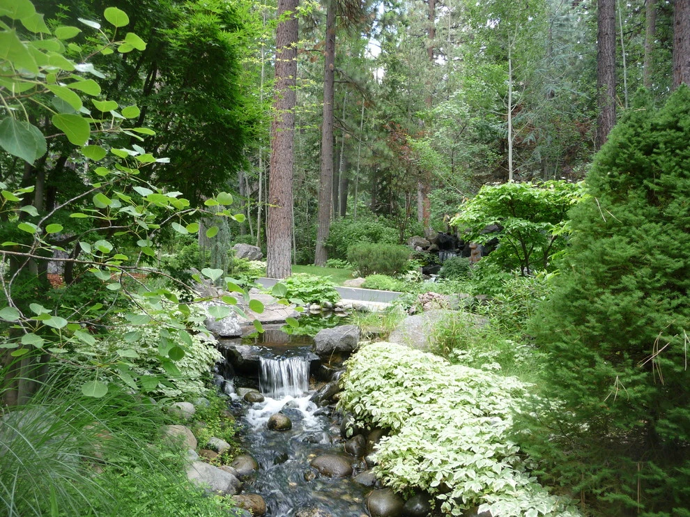 High Sierra Gardens Inc. - Photo 8