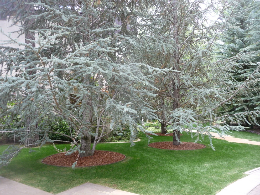 High Sierra Gardens Inc. - Photo 6