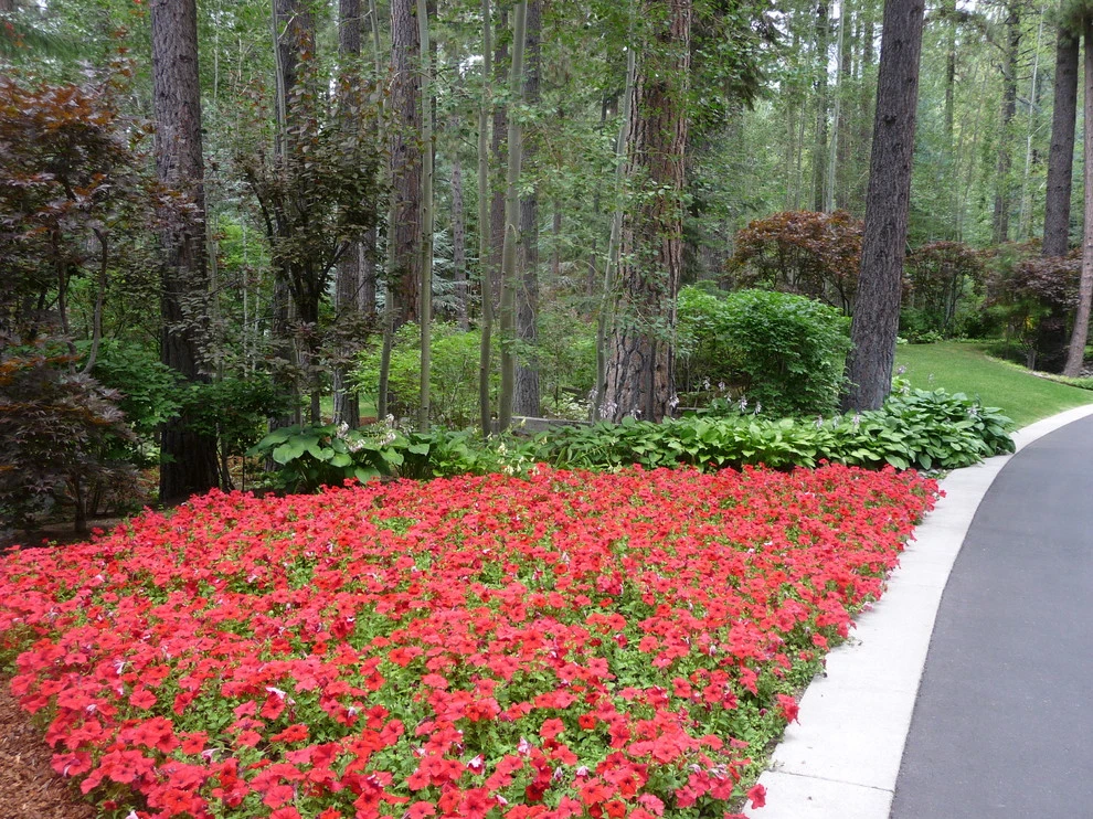 Schumacher by High Sierra Gardens Inc. - Photo 5