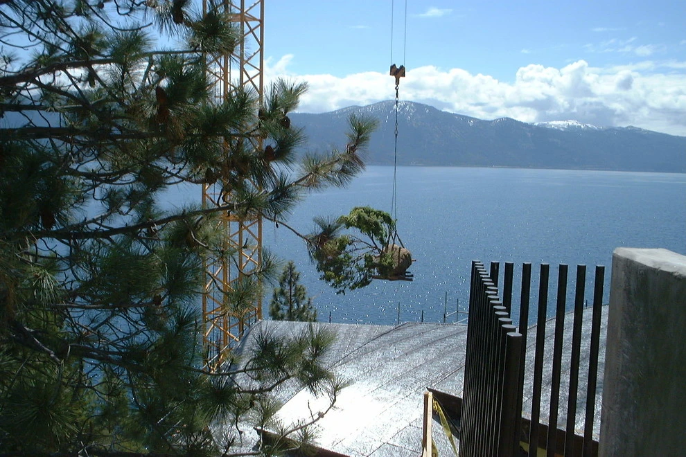 Shaheen by High Sierra Gardens Inc. - Photo 4
