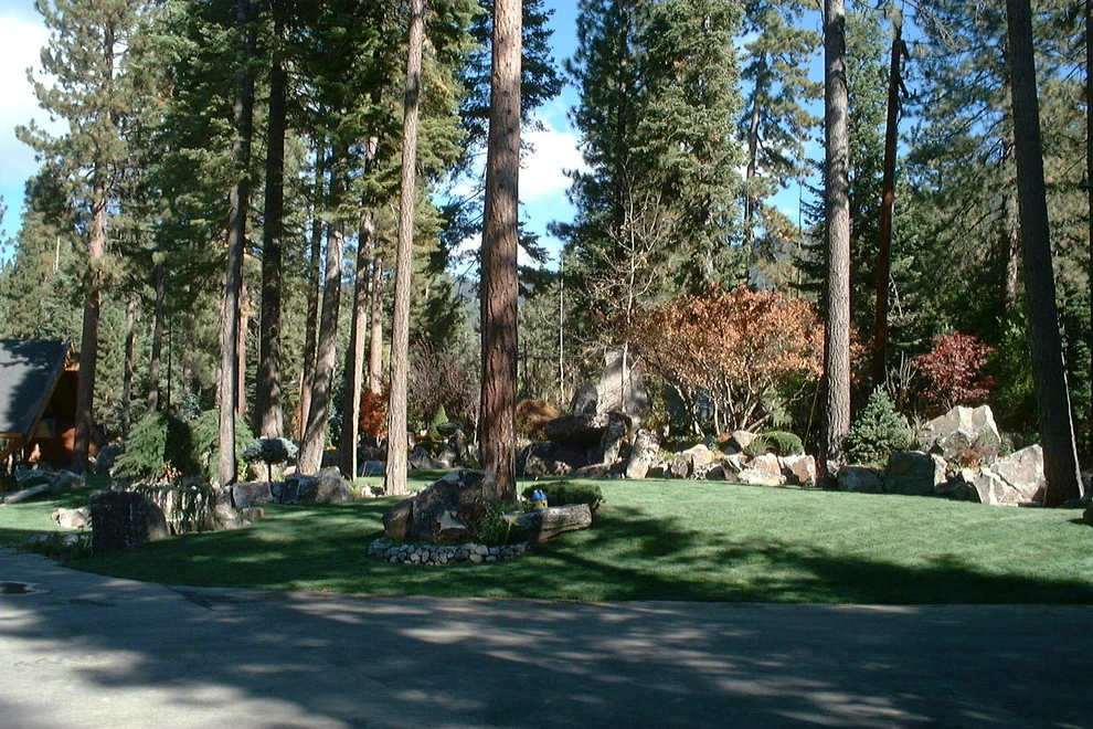 Gonzales by High Sierra Gardens Inc. - Photo 10