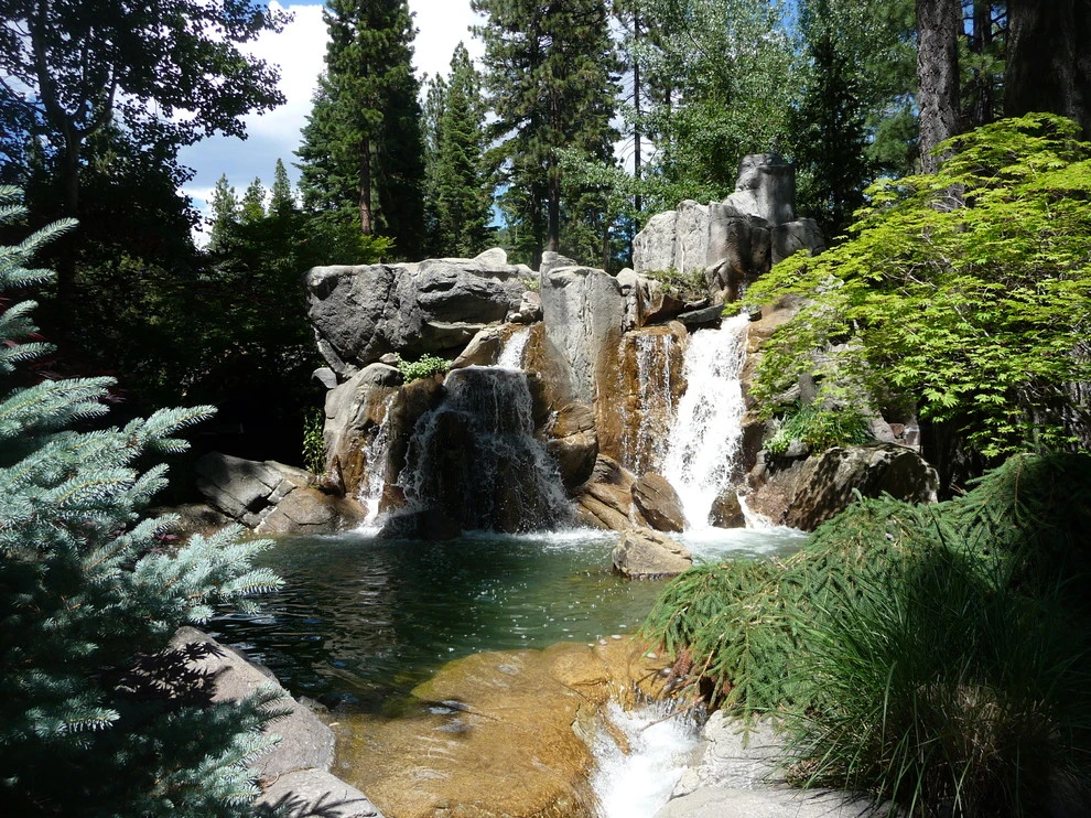 Gonzales by High Sierra Gardens Inc. - Photo 13
