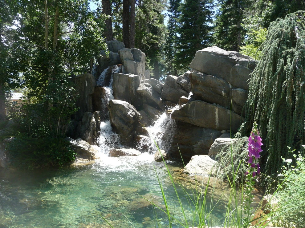 Gonzales by High Sierra Gardens Inc. - Photo 3