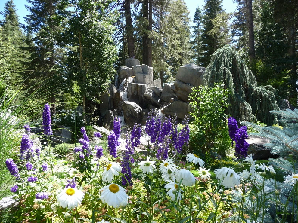 Gonzales by High Sierra Gardens Inc. - Photo 4