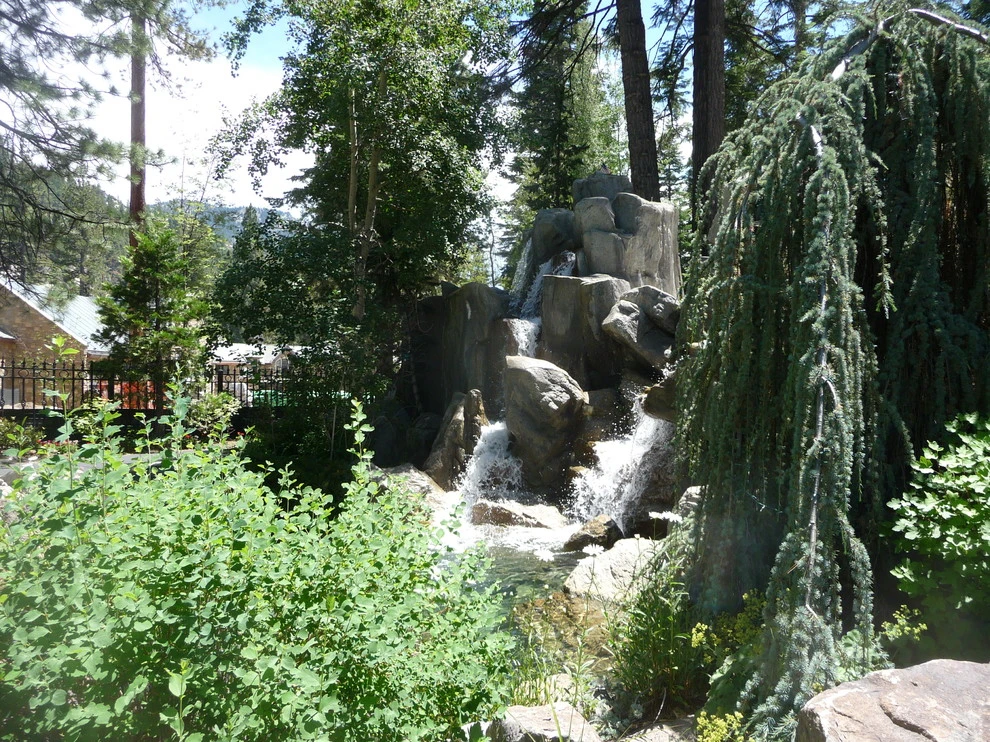 Gonzales by High Sierra Gardens Inc. - Photo 15