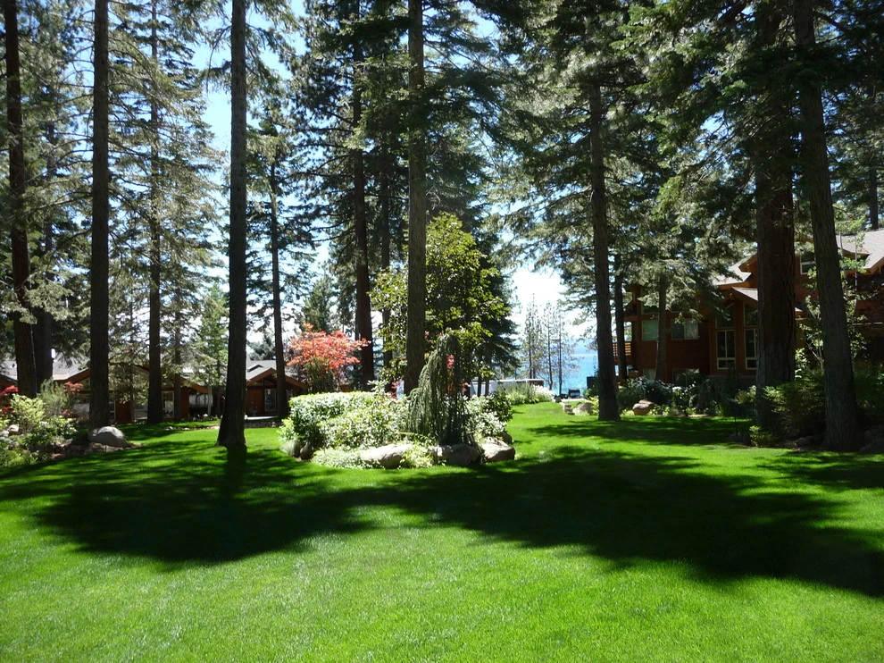 Gonzales by High Sierra Gardens Inc. - Photo 17