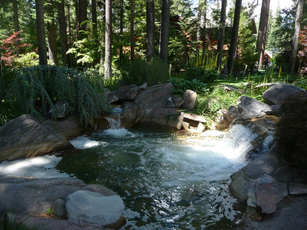 Gonzales by High Sierra Gardens Inc. - Photo 12