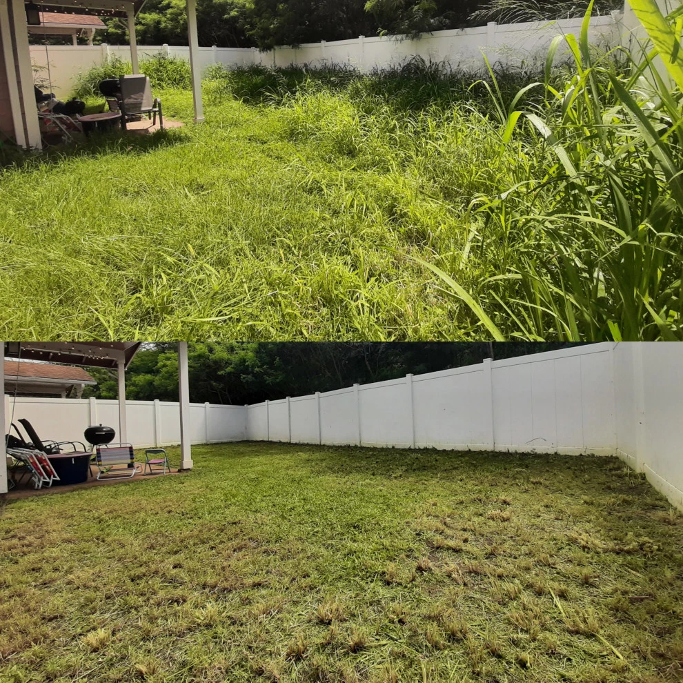 Lawnmowing by High Tier Cleaning Co. - Photo 2