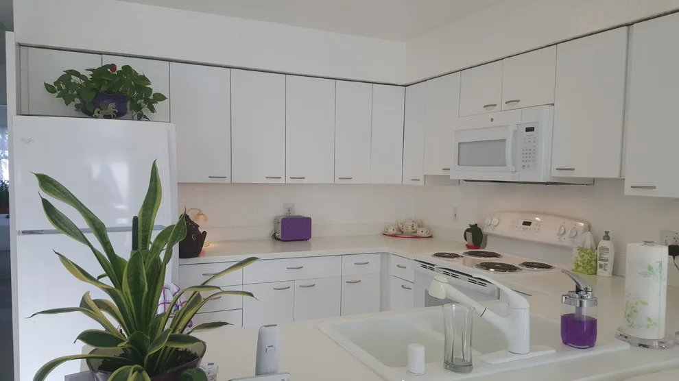 Alaskan White Culinary Space by Jamie Tamanaha With Florcraft Carpet One - Photo 4