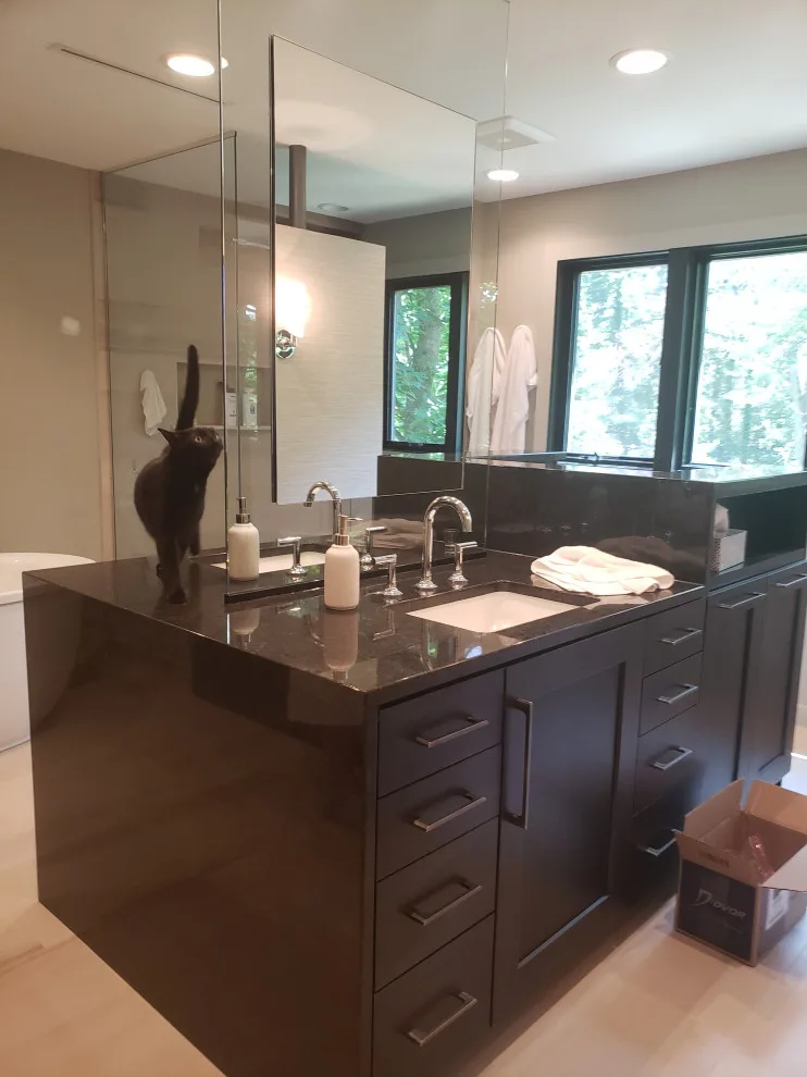 Contemporary Bathroom with Walk-In Closet by MR Planners, Inc - Photo 6
