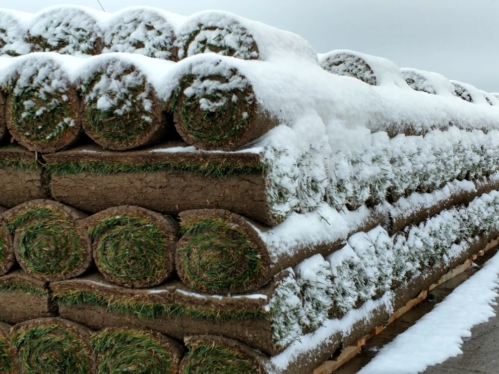 Turf Master Sod Farms - Photo 10