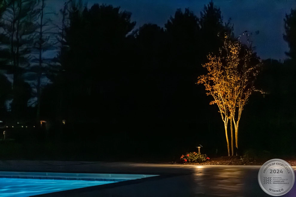 Bruffey Pool & Lighting by Hometown Landscape & Lawn Service - Photo 14