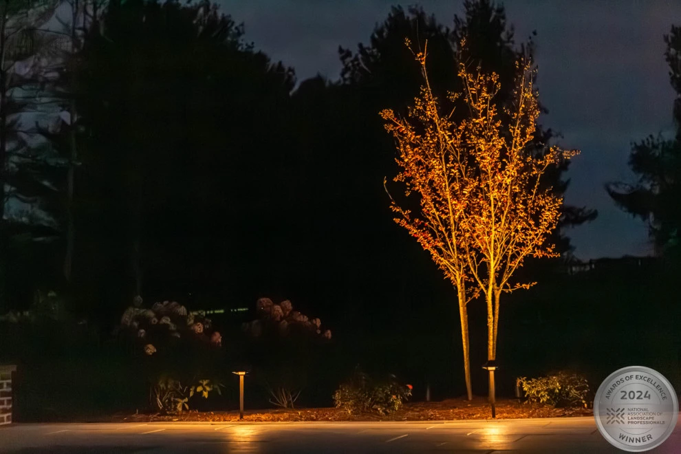 Bruffey Pool & Lighting by Hometown Landscape & Lawn Service - Photo 10