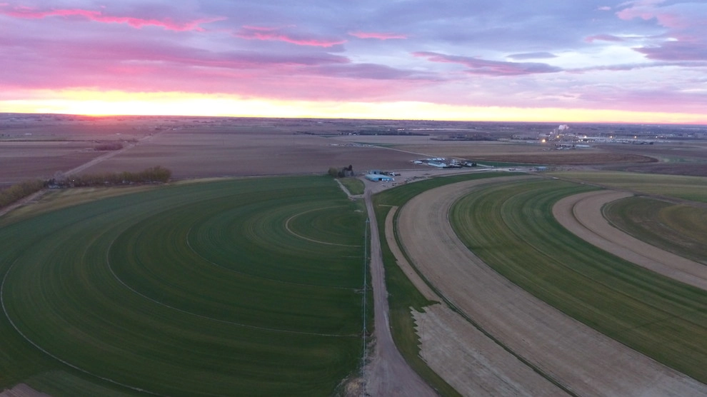 On the Farm by Turf Master Sod Farms - Photo 5
