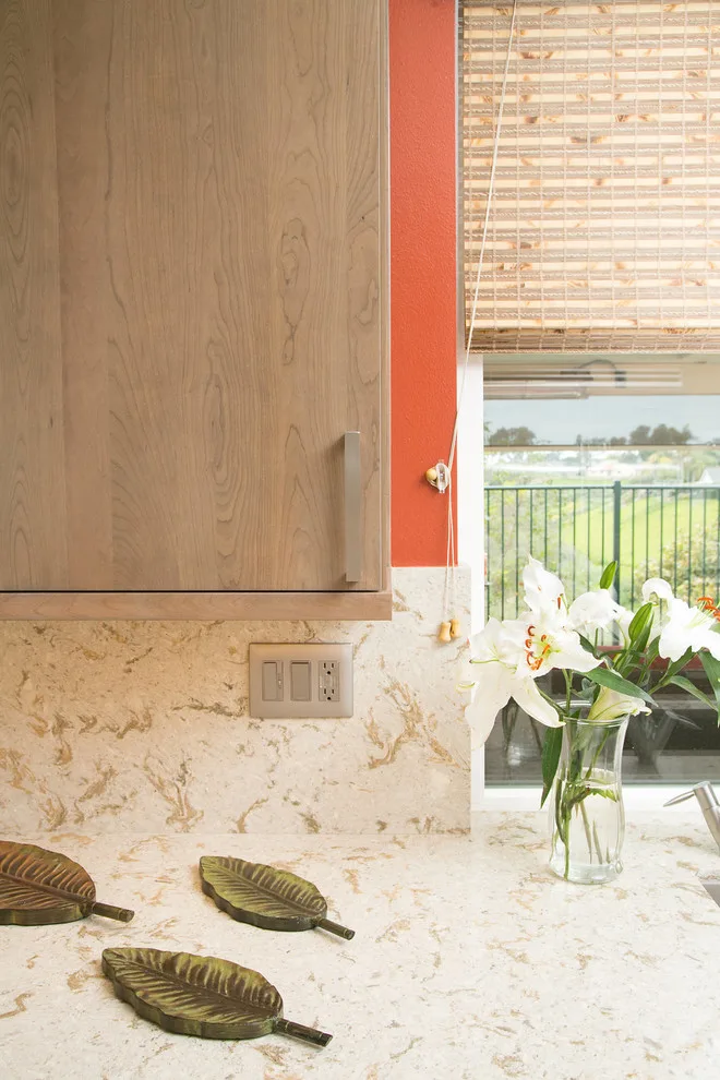 Contemporary Kitchen in Carlsbad by La Costa Cabinets & Design - Photo 20