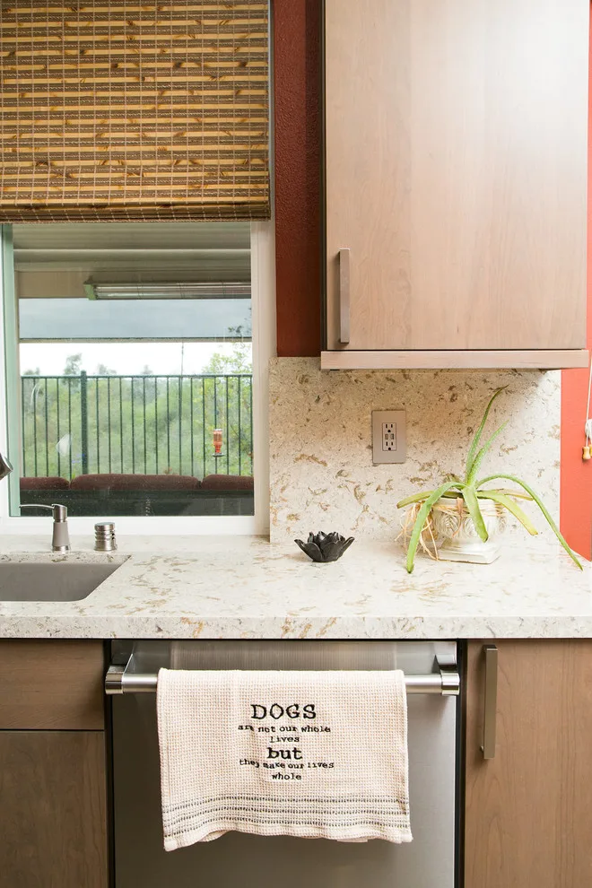 Contemporary Kitchen in Carlsbad by La Costa Cabinets & Design - Photo 16
