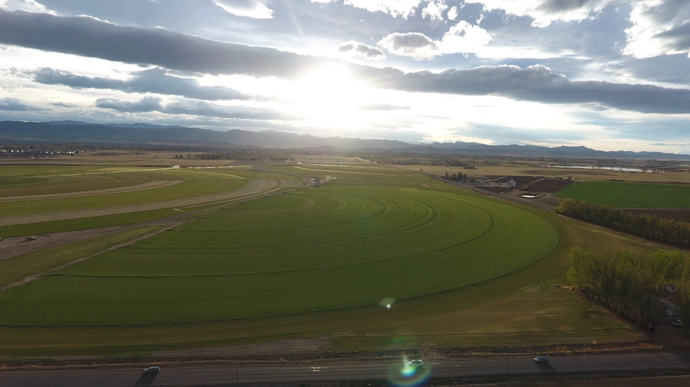 Turf Master Sod Farms - Photo 8