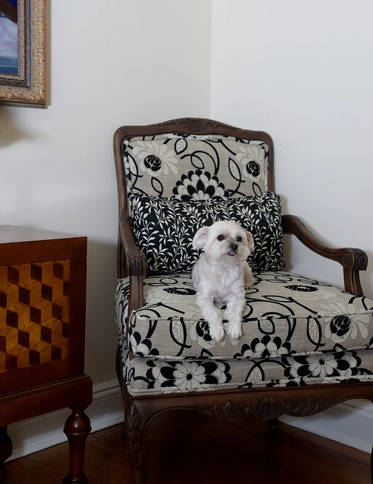 Traditional American Residence by Toni Sabatino - Photo 19